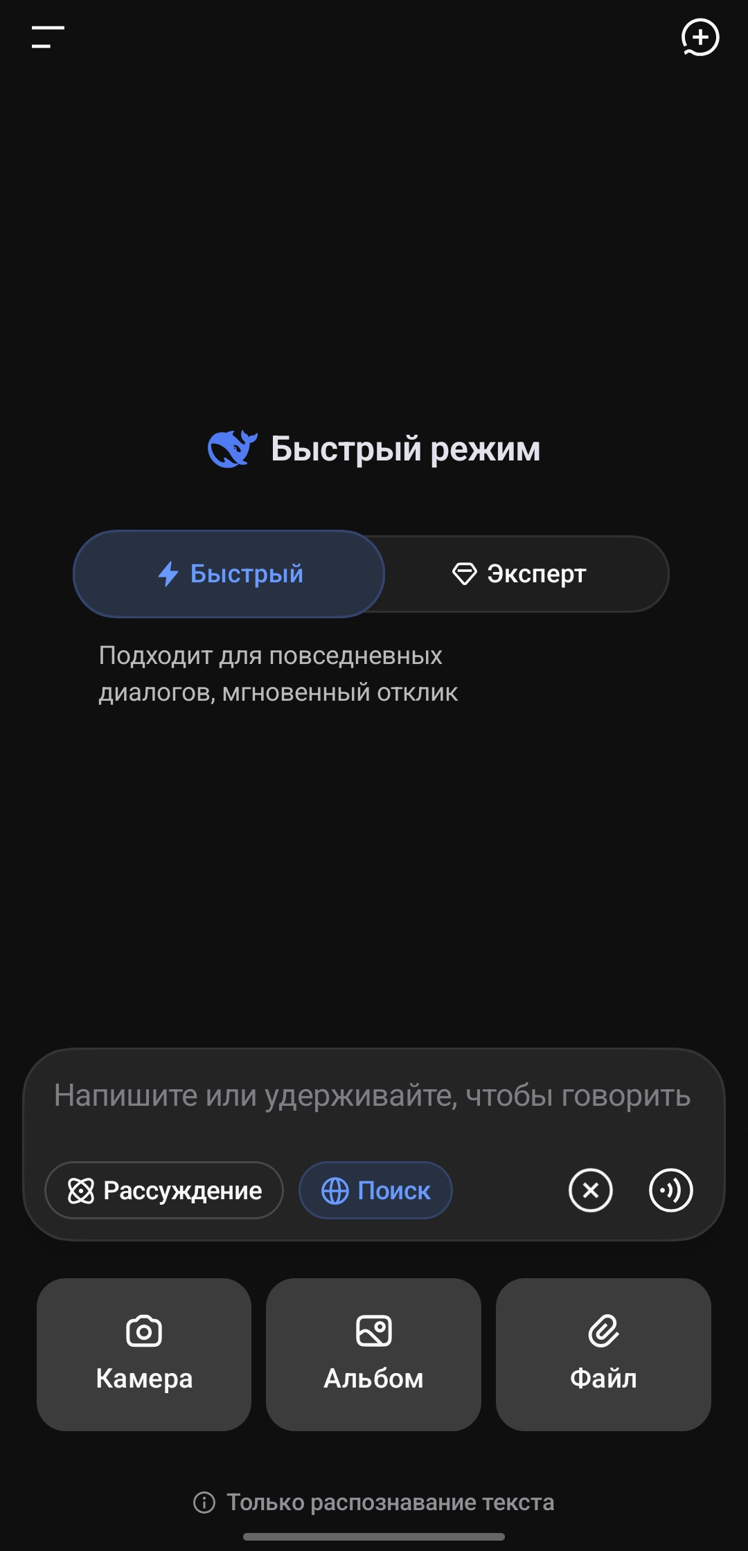 DeepSeek — Пустой чат, добавление